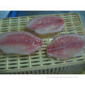 Preço barato peixe congelado tilápia peixe filé